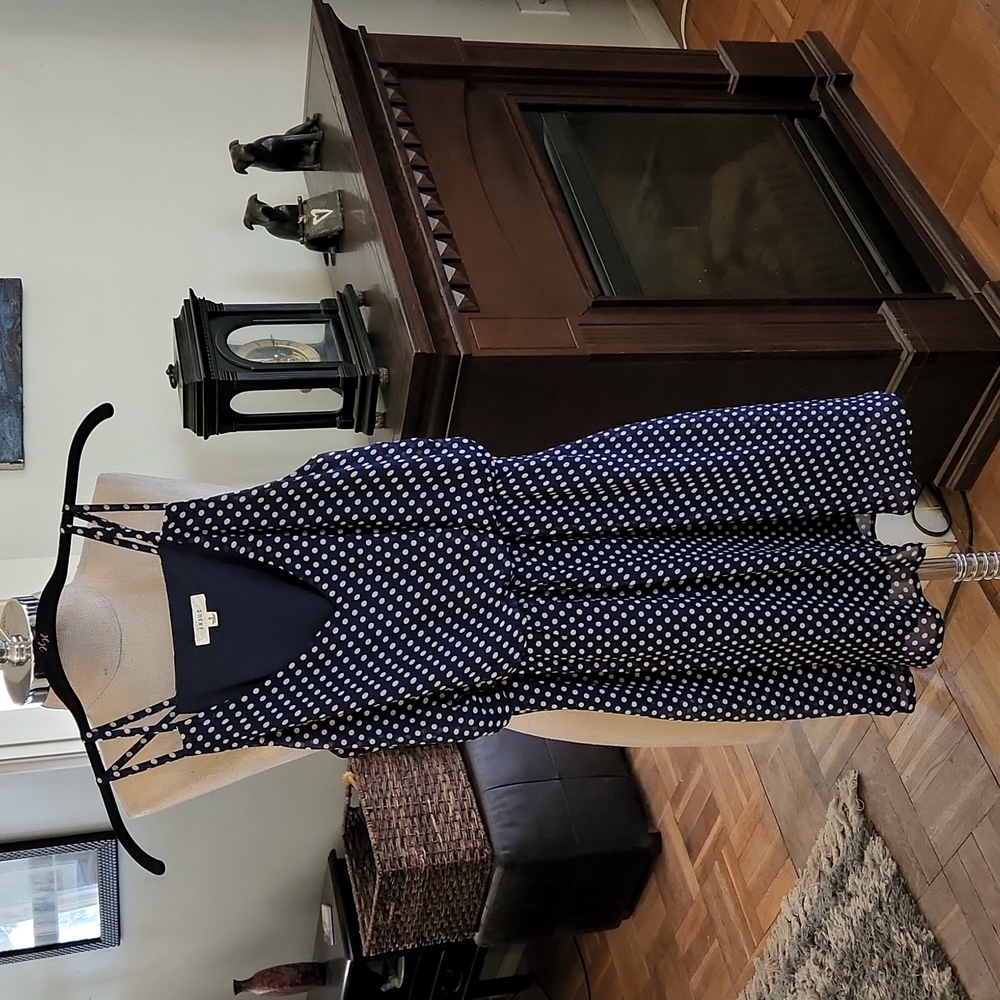 Issue Navy Polka-Dot Dress